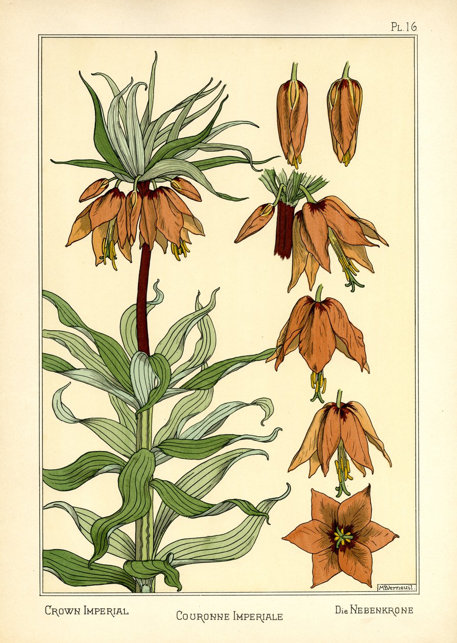 A Coroa Imperial (cor litho) de Maurice Pillard Verneuil