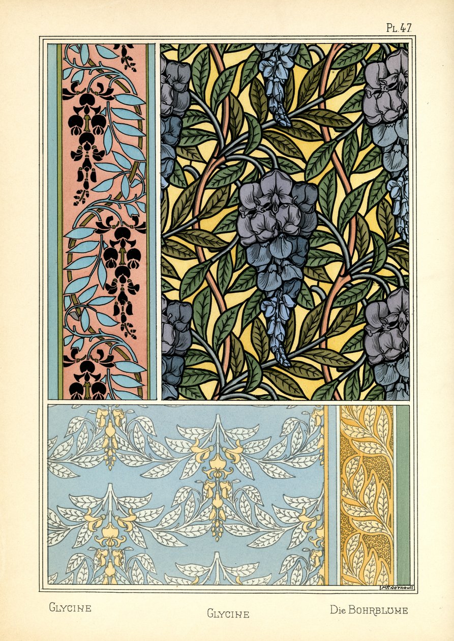 O Glycine (cor litho) de Maurice Pillard Verneuil