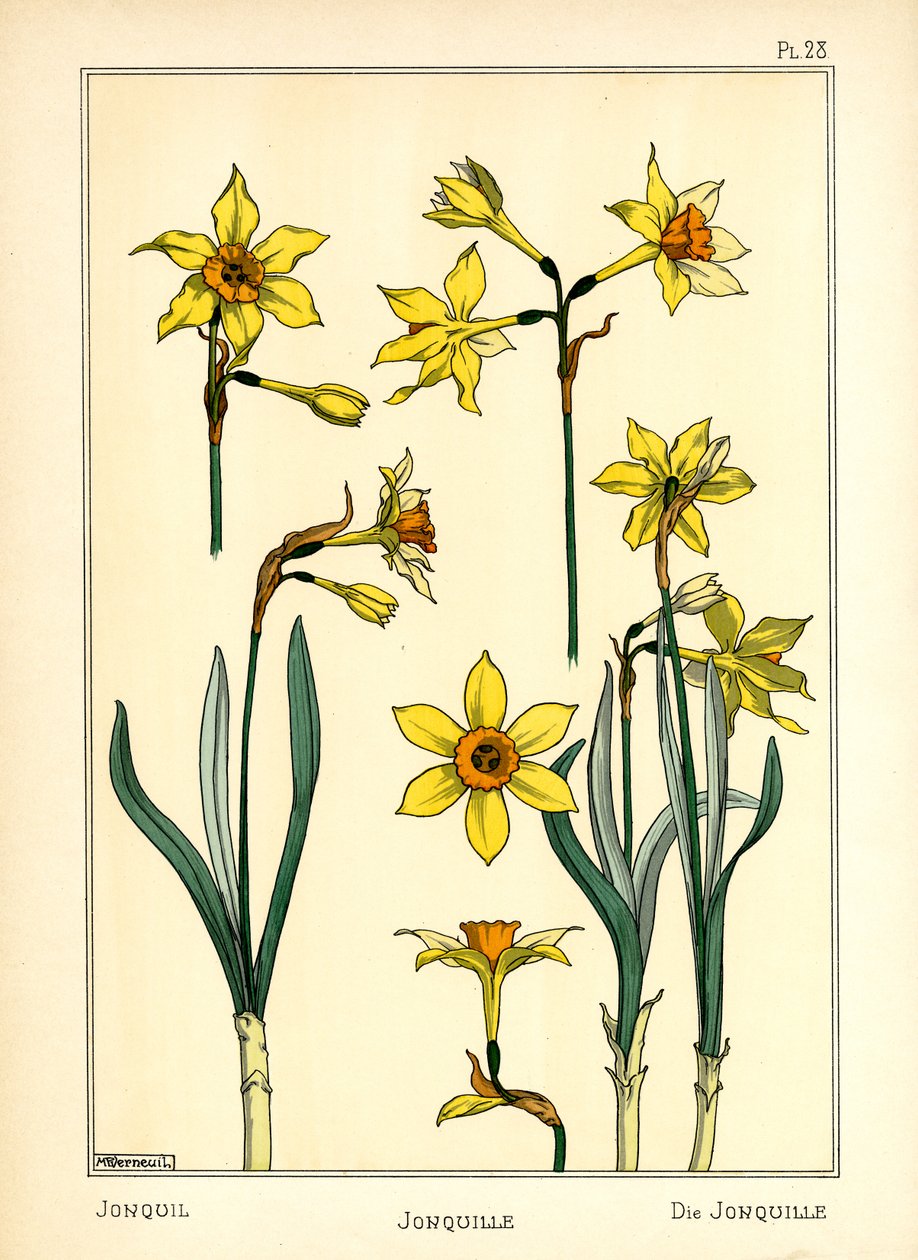 O Jonquil (cor litho) de Maurice Pillard Verneuil