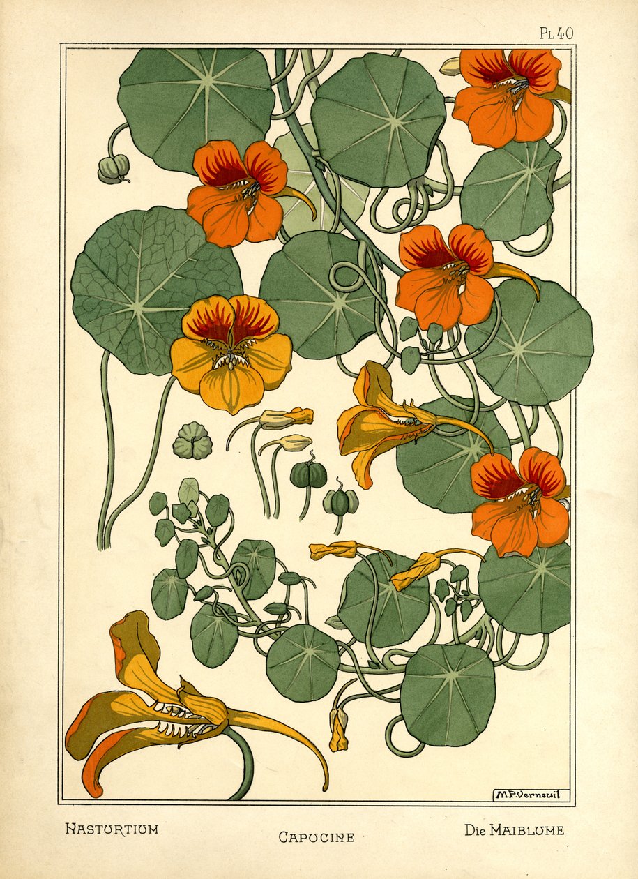 O Nasturtium (cor litho) de Maurice Pillard Verneuil