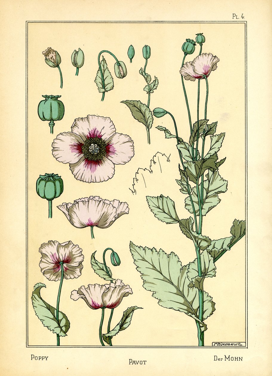 A papoila (cor litho) de Maurice Pillard Verneuil