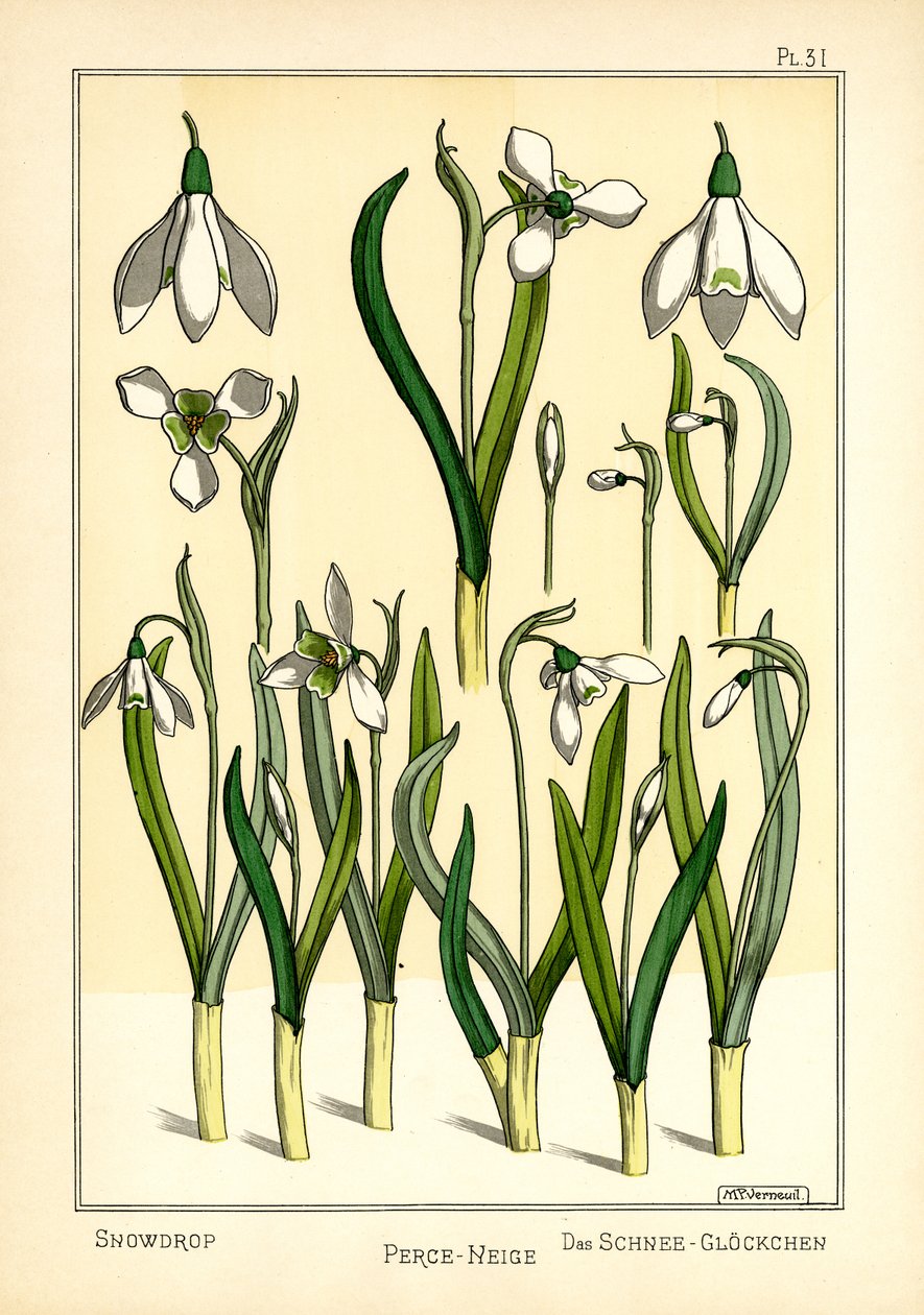 A Gota de Neve (cor litho) de Maurice Pillard Verneuil