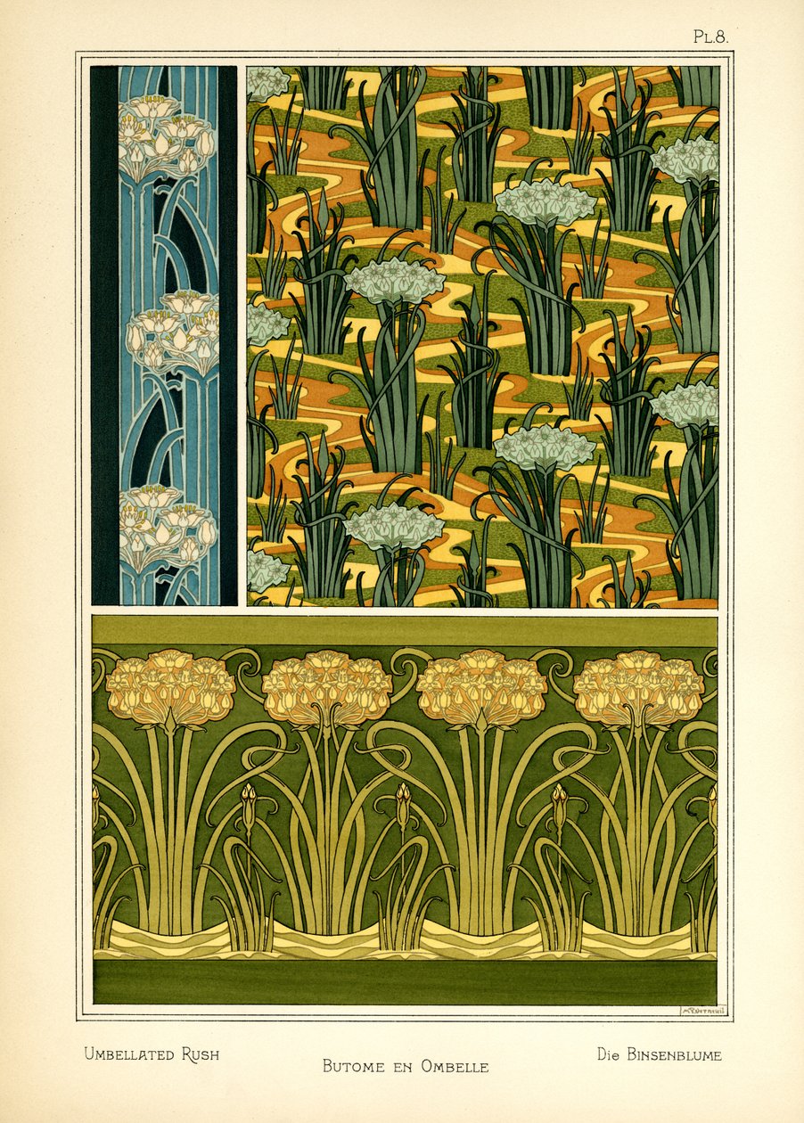 O Rush Umbelado (cor litho) de Maurice Pillard Verneuil