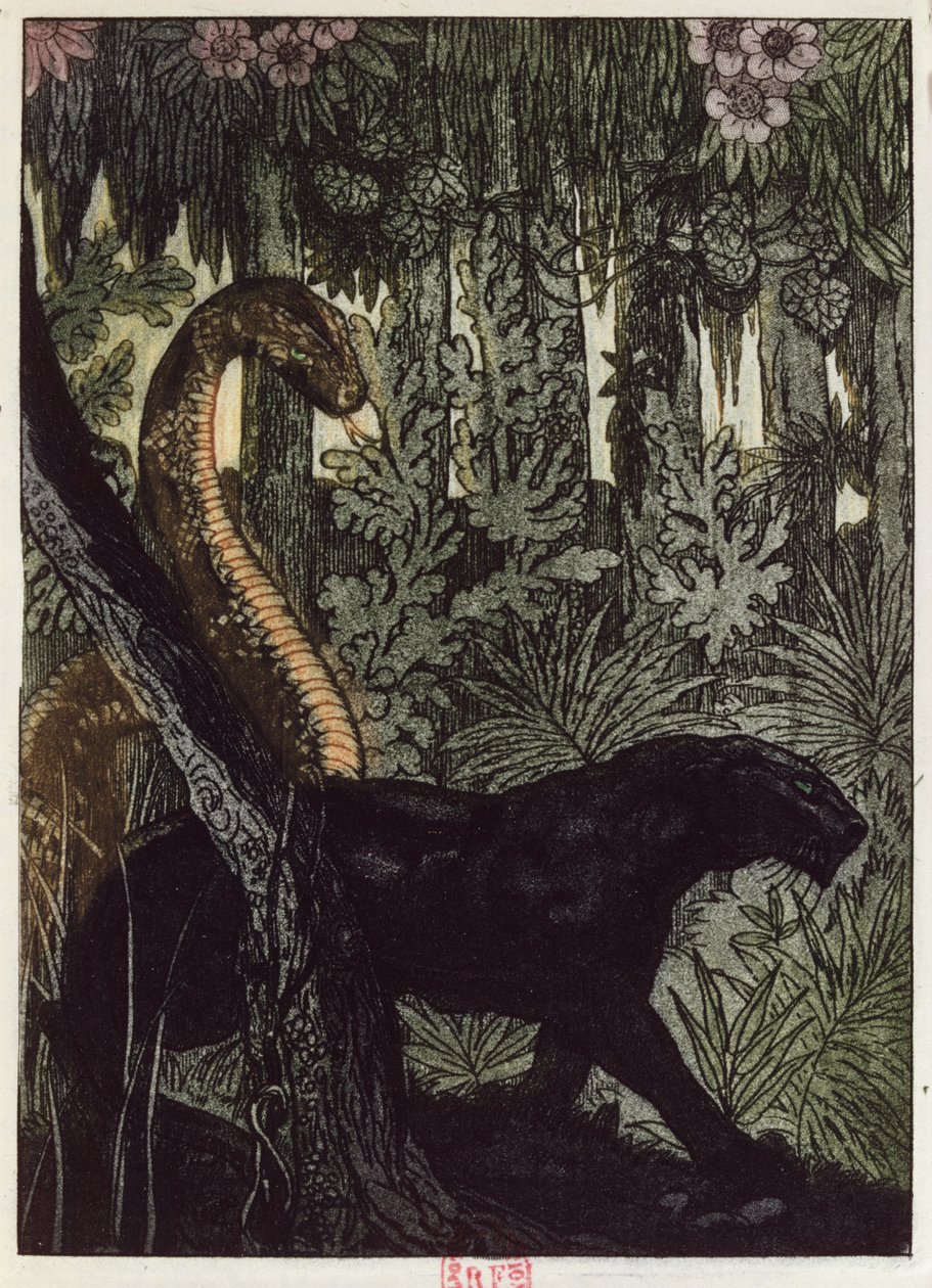 Kaa&39;s Hunt, ilustração de "The Jungle Book", de Rudyard Kipling (1865-1936), publicada em Paris, 1930 de Maurice de Becque