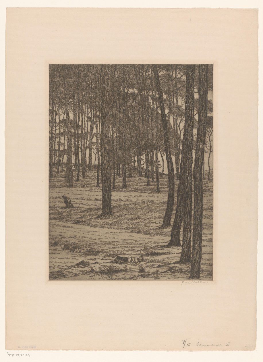 Dennenbosch I (título original no objeto) Bos (título original) de Maurits van der Valk (signed by artist)