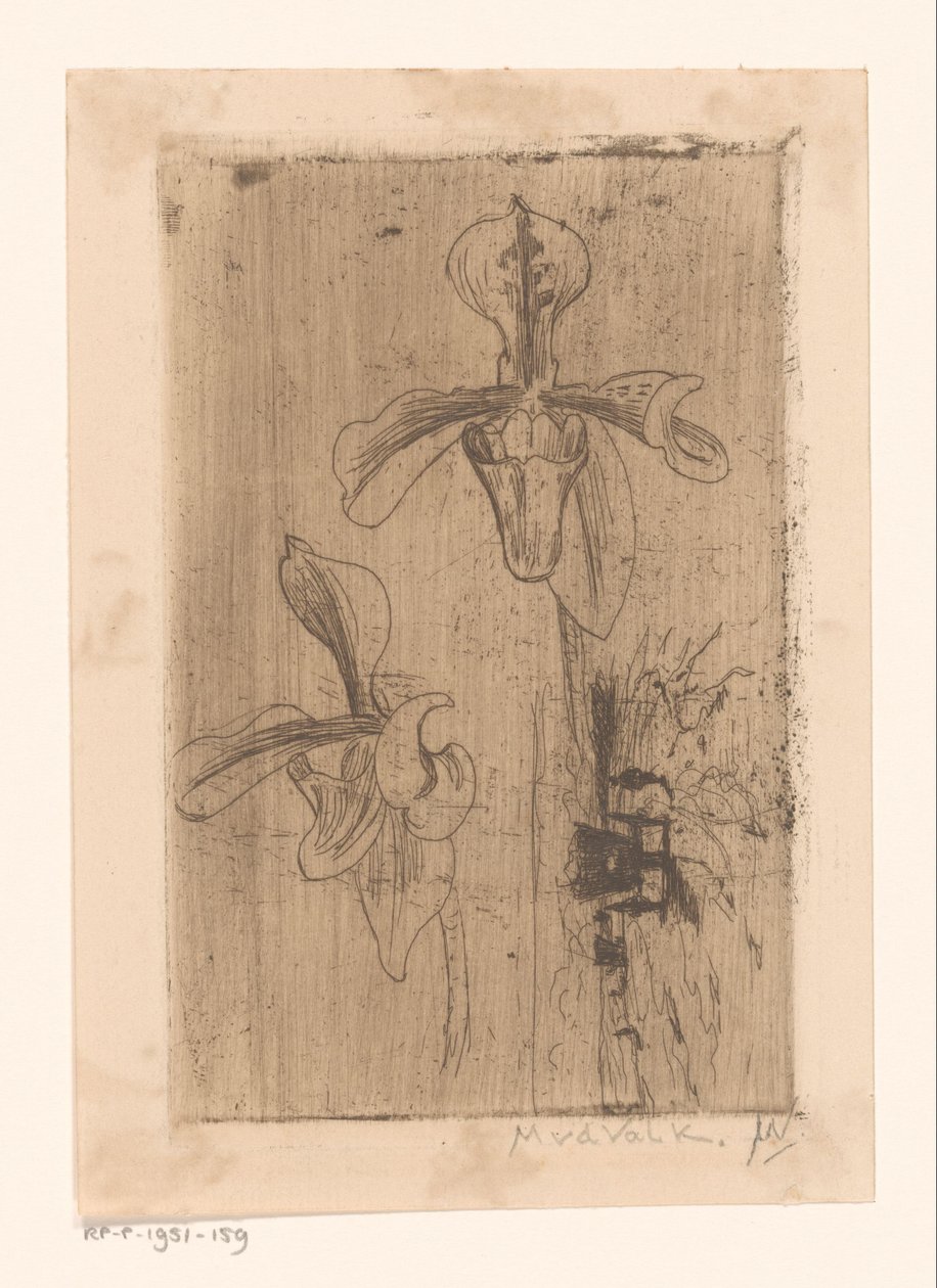 Duas orquídeas e um carrinho na praia de Maurits van der Valk (signed by artist)