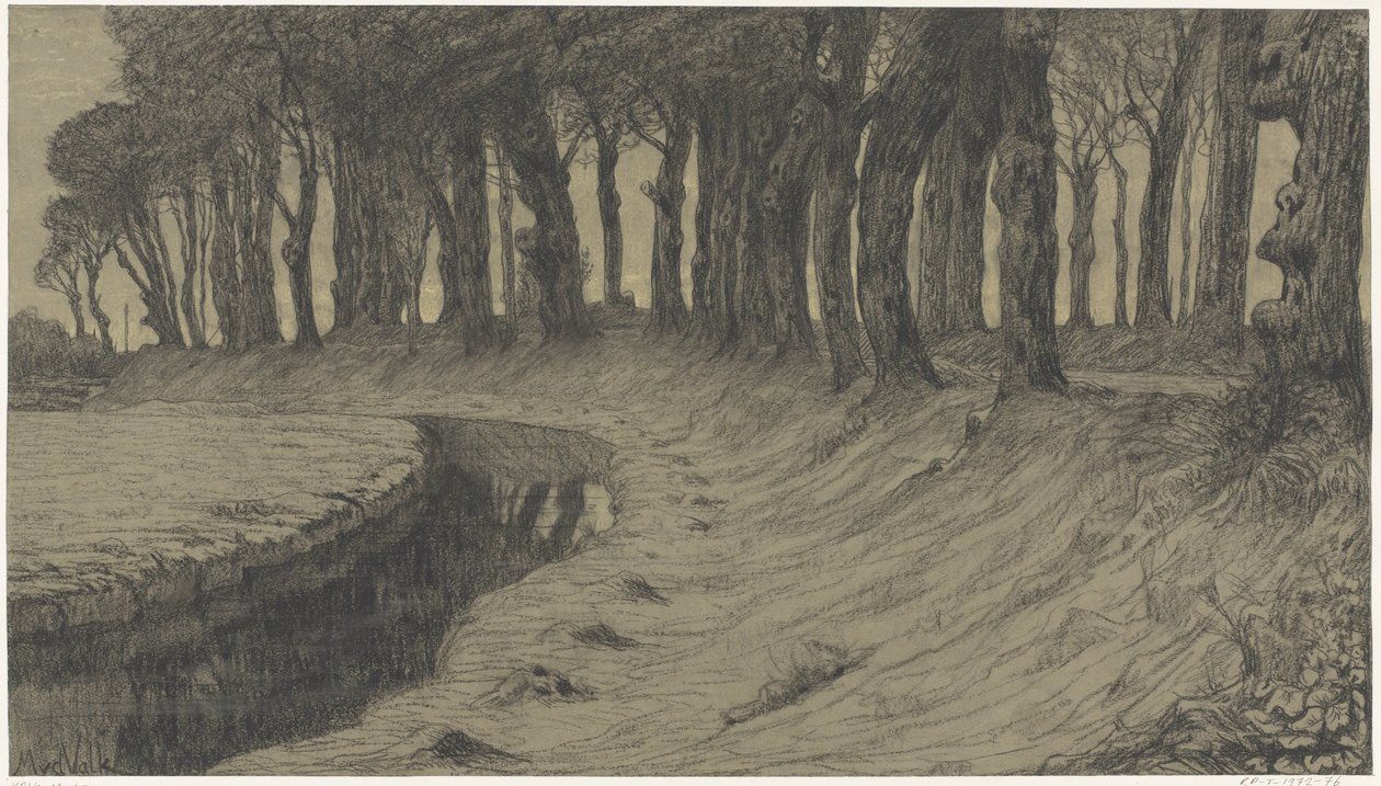 Árvores ao longo de uma estrada sobre um aterro ou terrapleno de Maurits van der Valk