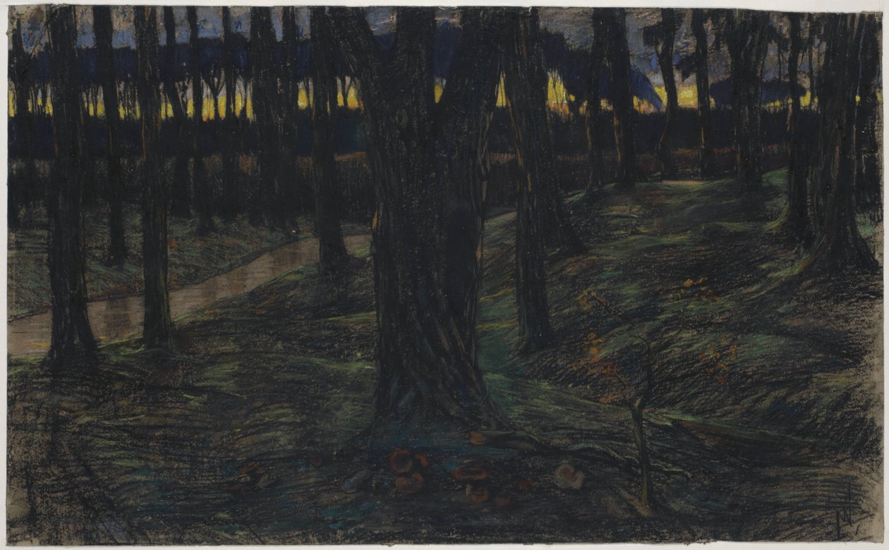 Vista da floresta ao pôr-do-sol de Maurits van der Valk