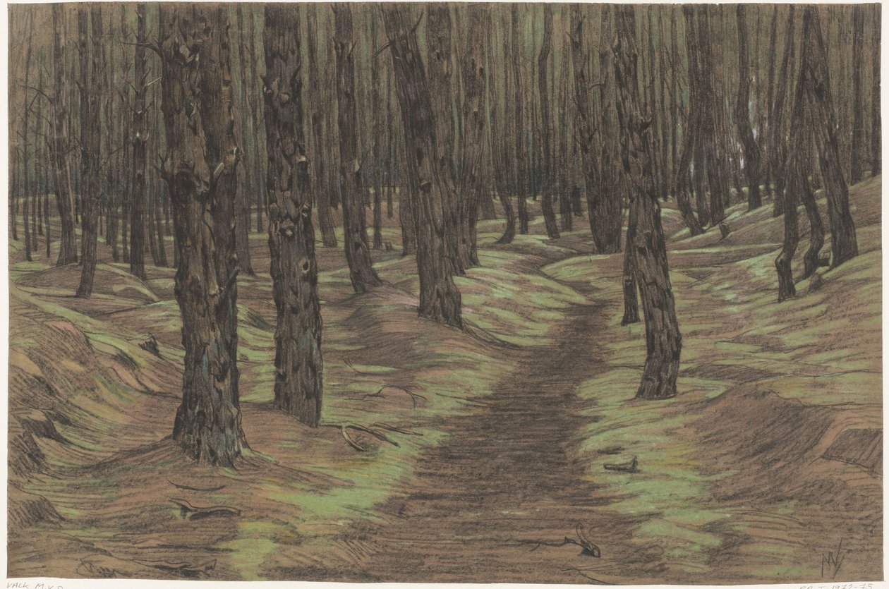 floresta de pinheiros de Maurits van der Valk