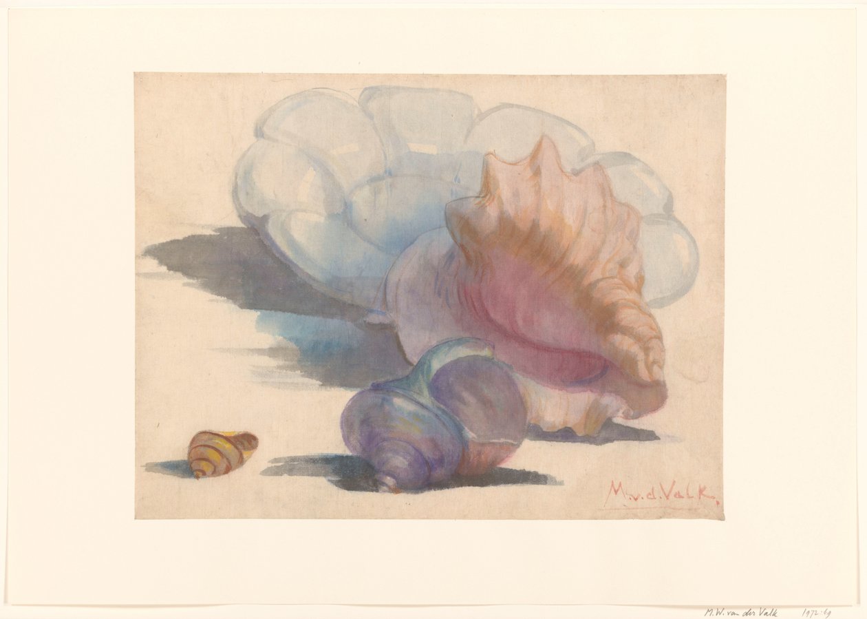 Três conchas com um prato plissado Delft de Maurits van der Valk