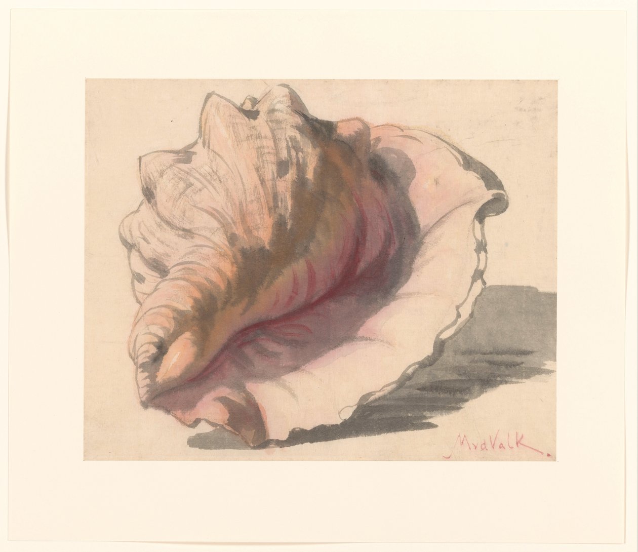 Casca de Maurits van der Valk
