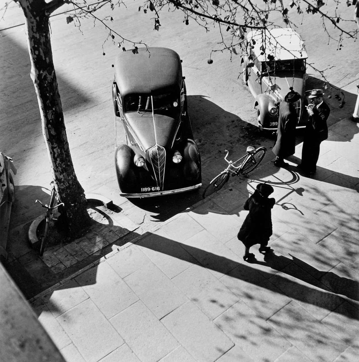 Adelaide de Max Dupain