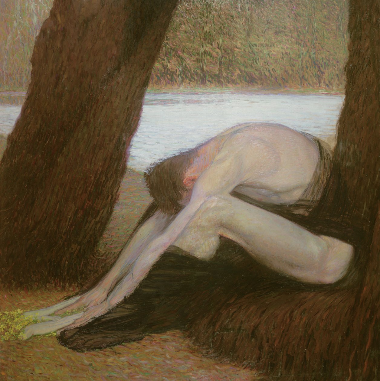 Desespero de Max Kurzweil