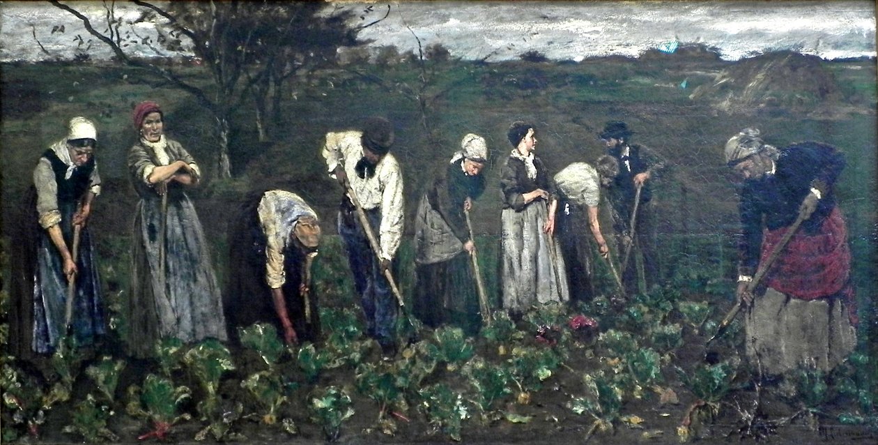 Trabalhador no campo de beterraba de Max Liebermann