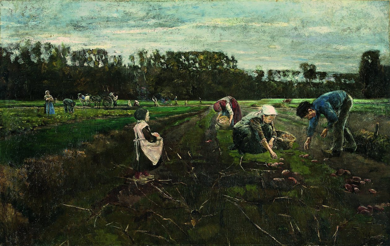 Colheita De Batata de Max Liebermann