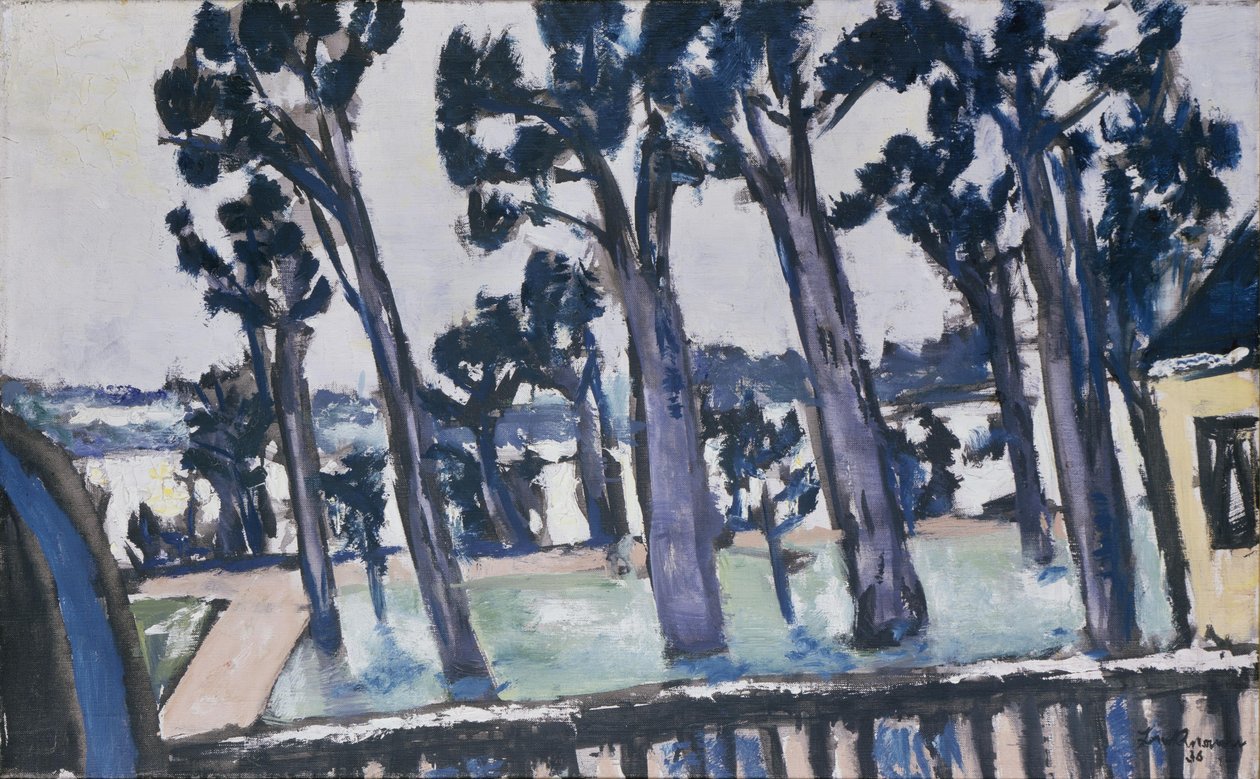 Vista do Havel a partir de Rupenhorn de Max Beckmann
