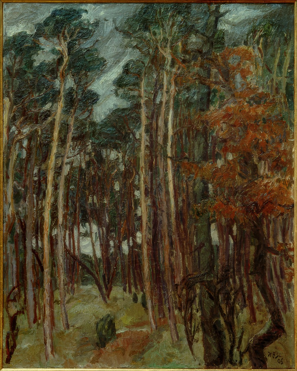 A Floresta de Hermsdorf num Dia Cinzento de Max Beckmann