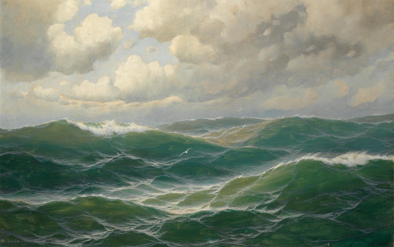 Gaivotas sobre as ondas de Max Jensen