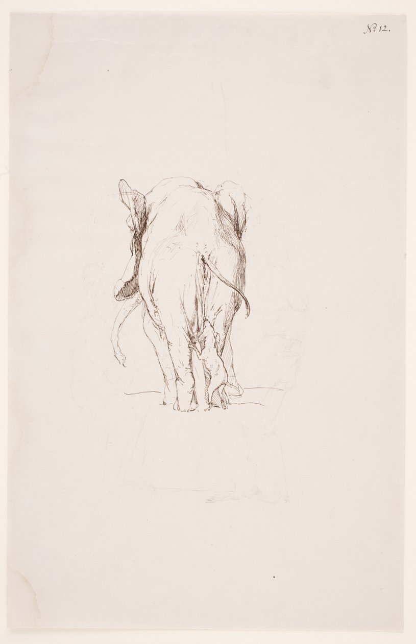 "Weg der Befleckung" - "Elefante e cão farejador" de Max Klinger