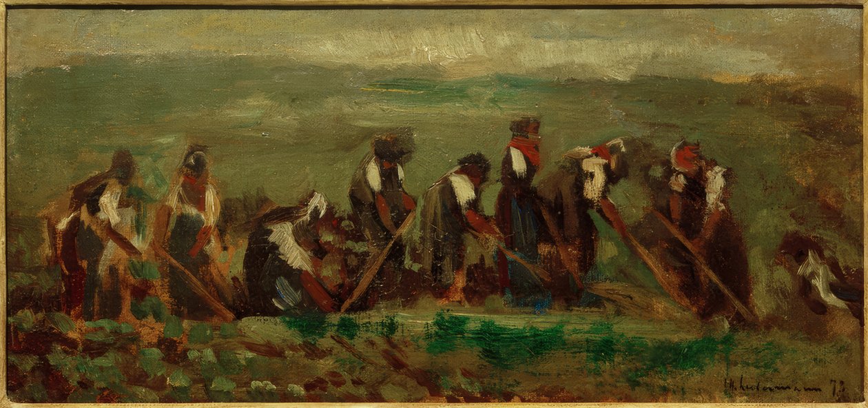 Trabalhador no campo de nabo - estudo de composição de Max Liebermann
