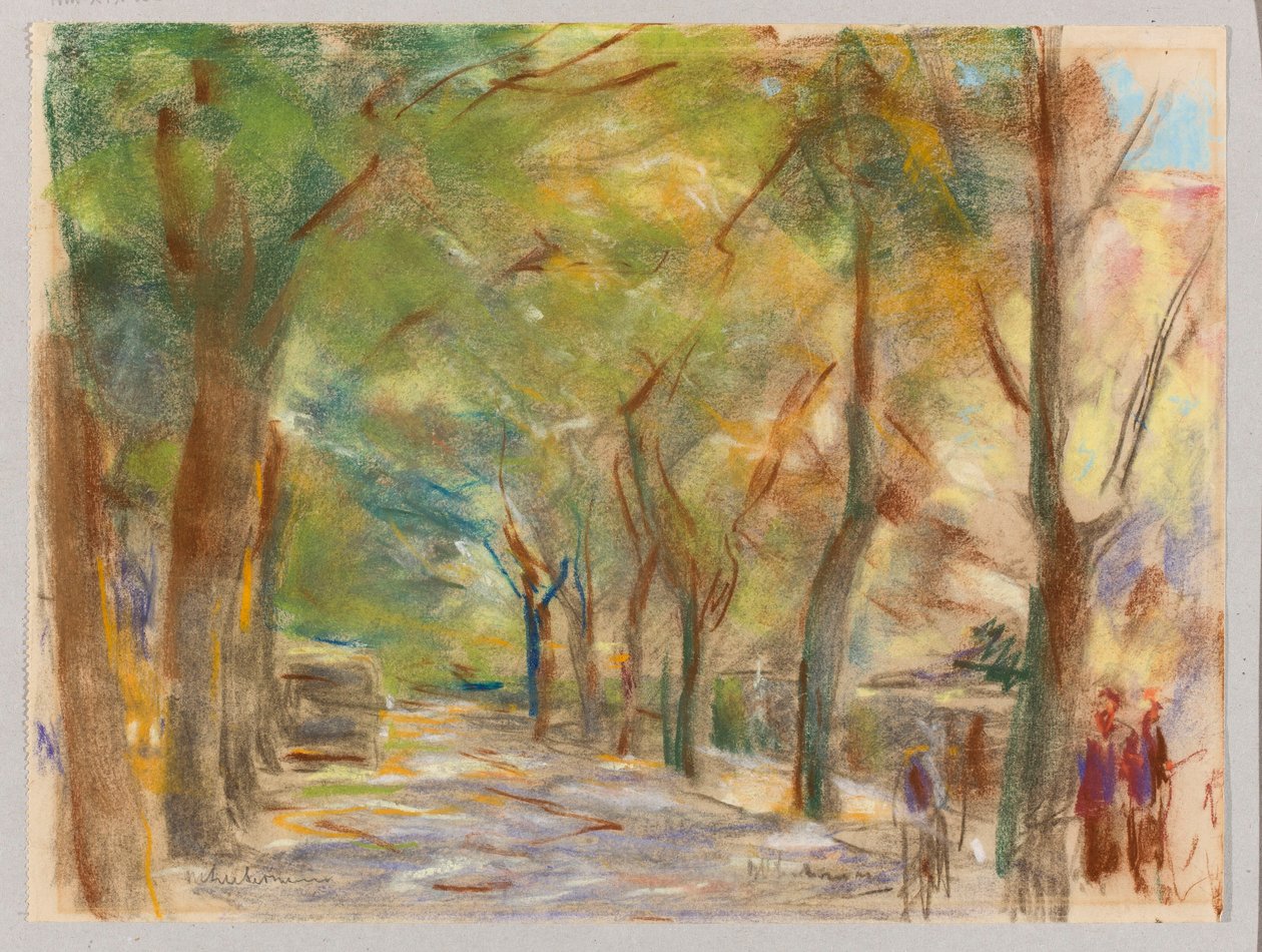 Rua Colomier perto de Wannsee de Max Liebermann
