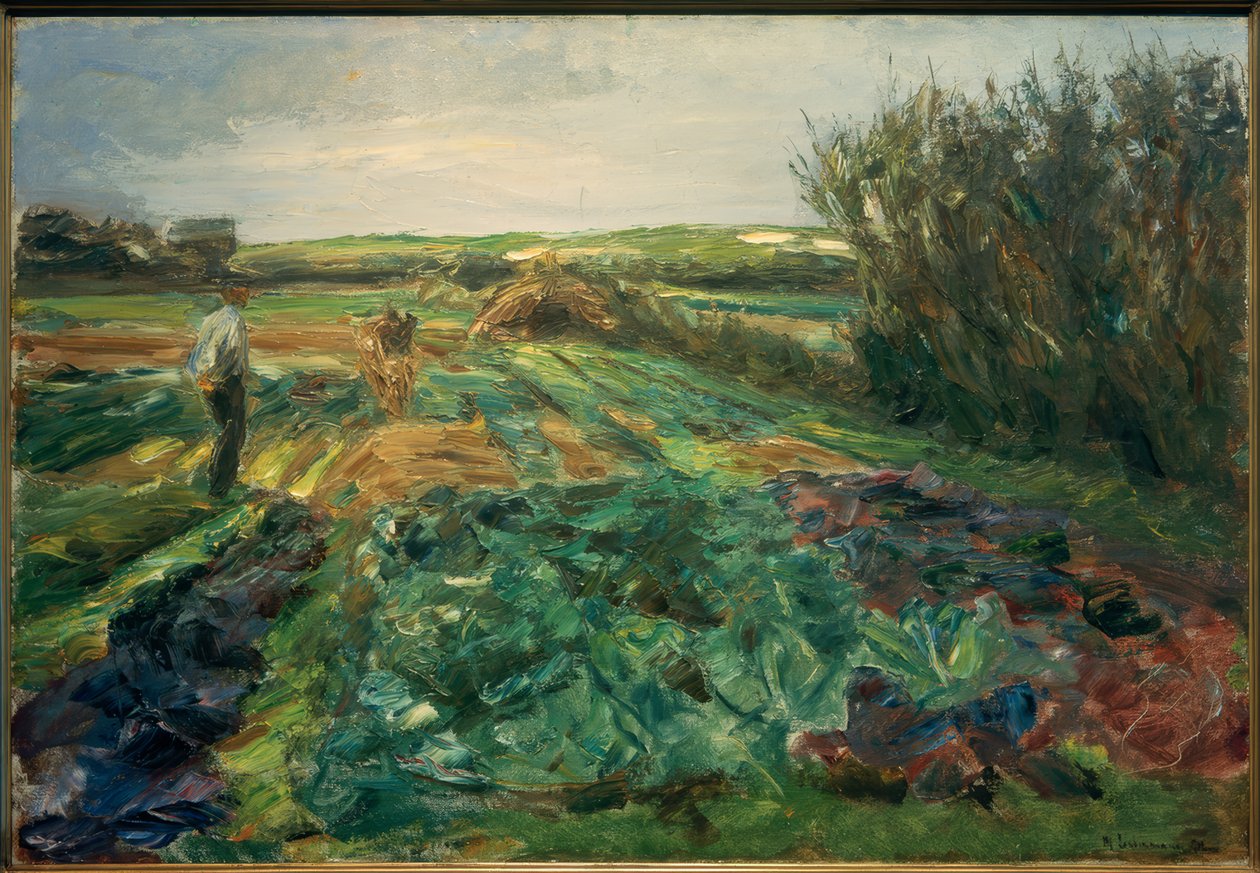 Das Kohlfeld (Kohlfeld em Noordwijk) de Max Liebermann