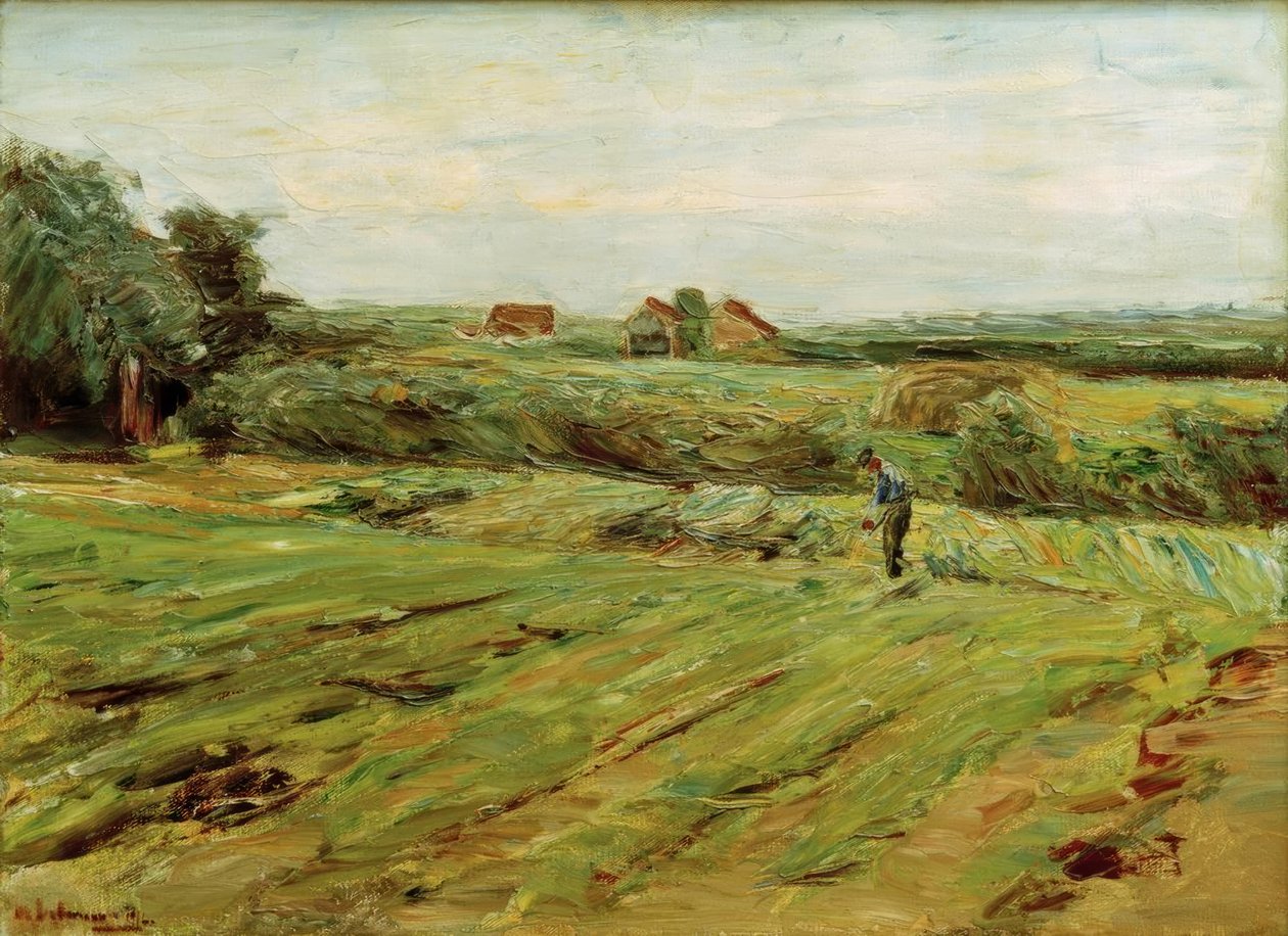 Campo de colheita - Kohlfeld  de Max Liebermann