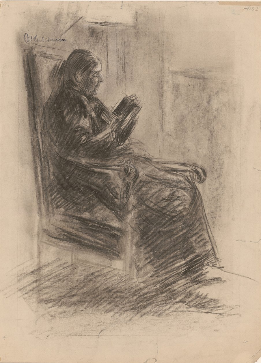 A mulher do artista de Max Liebermann