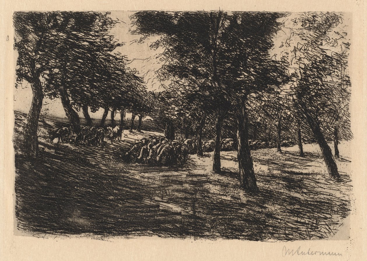 Rebanho de ovelhas sob árvores de Max Liebermann