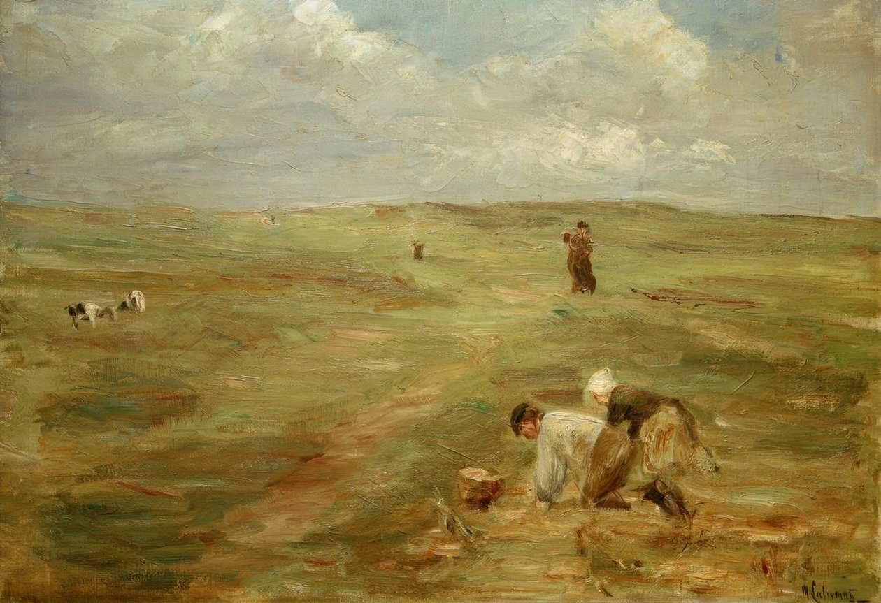 Mergulhador de batata nas dunas de Zandvoort de Max Liebermann