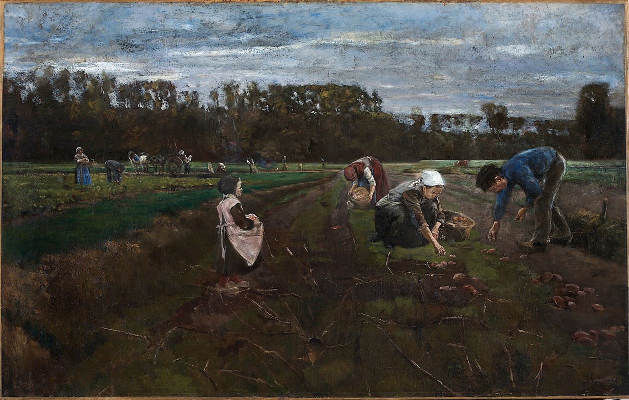 Colheita de batatas de Max Liebermann