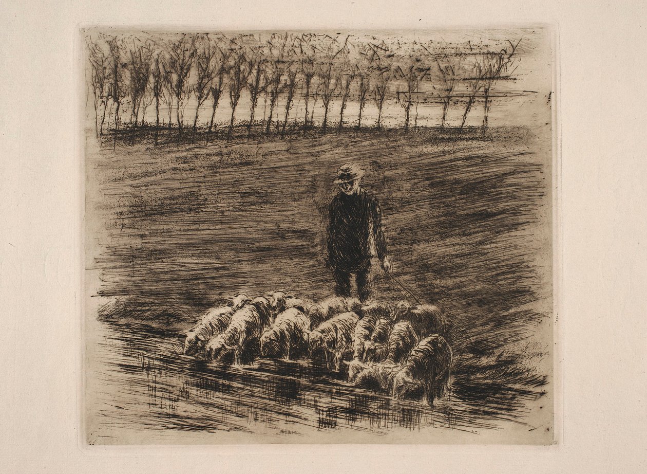 Rebanho de ovelhas junto ao bebedouro de Max Liebermann