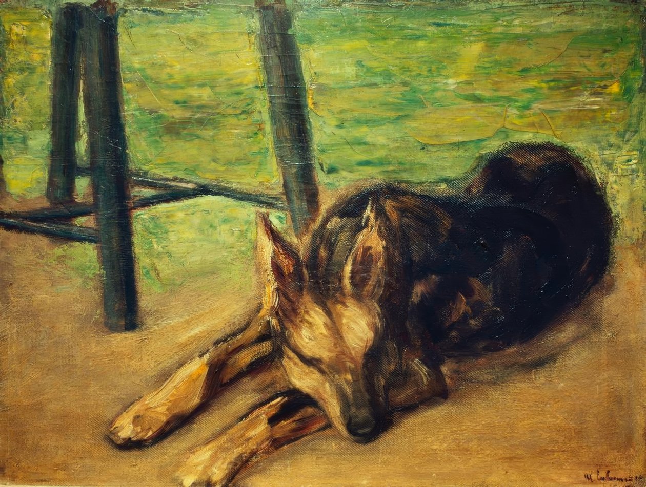 Pastor alemão a dormir de Max Liebermann