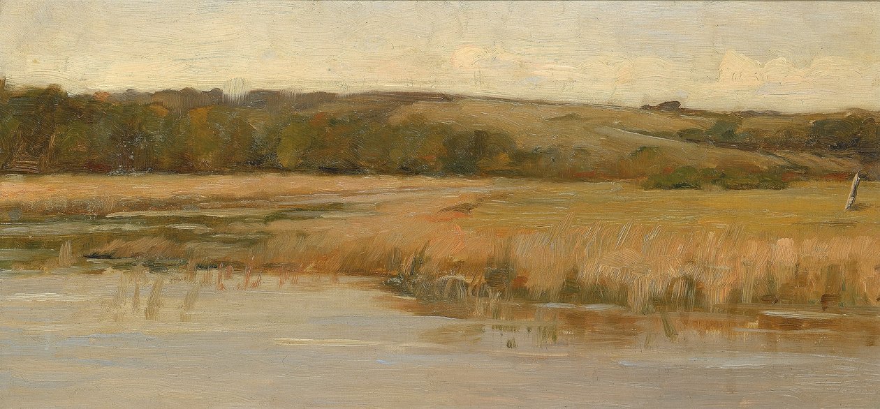 Colina e pântano de Max Weyl