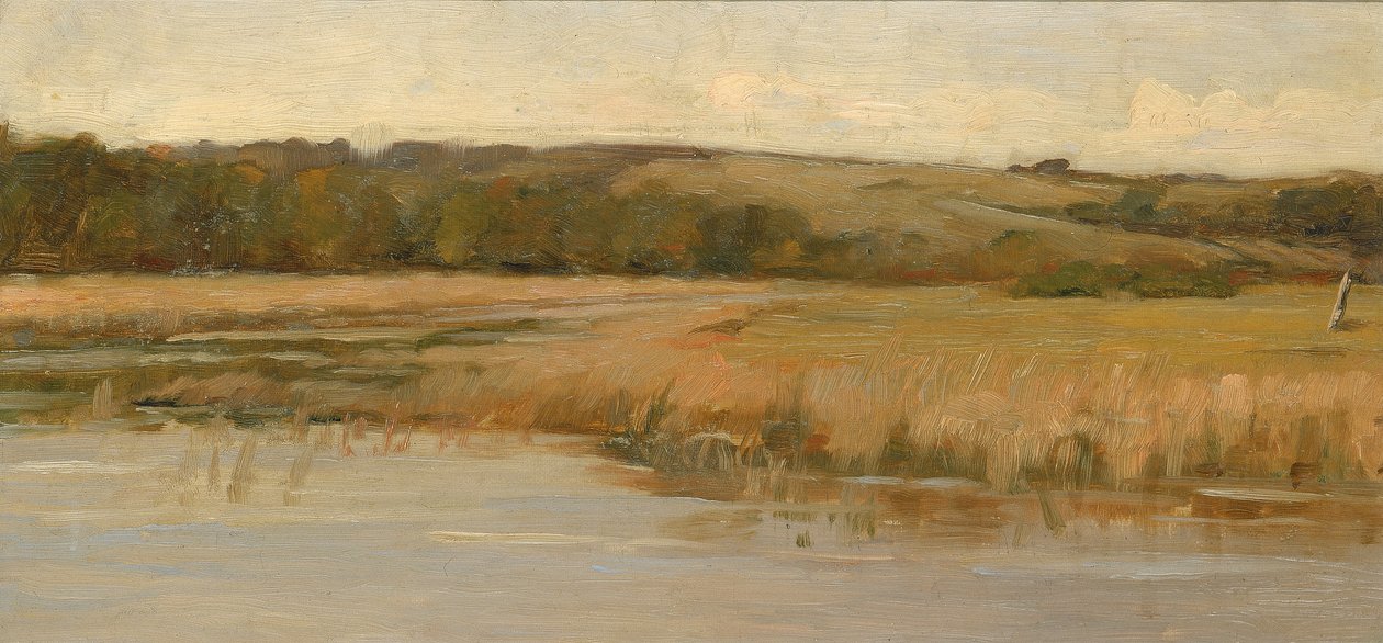 Hill e Marshland, final do século 19 e início do século 20. de Max Weyl
