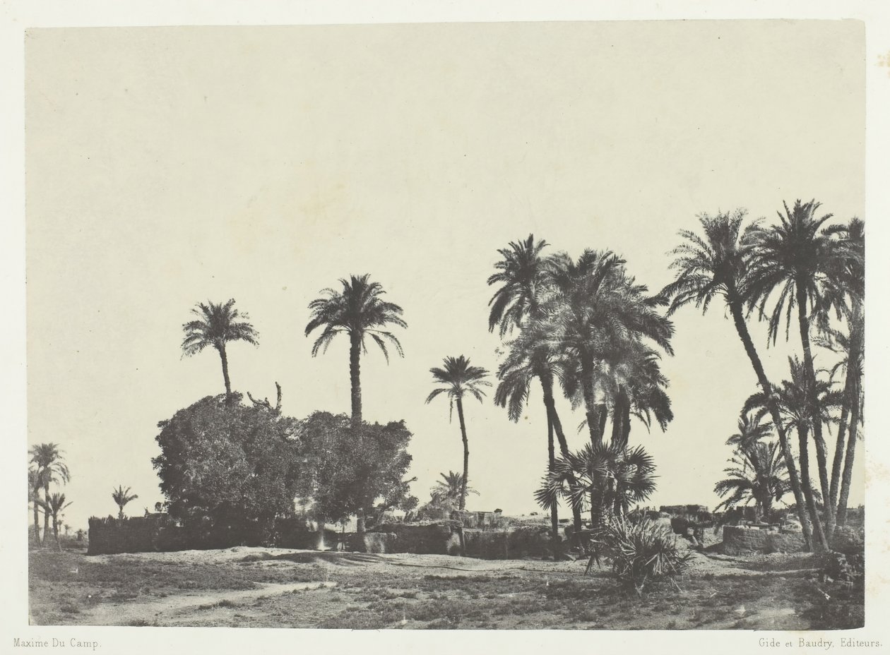 Aldeia de Hamameh, Alto Egito, 184951, impresso em 1852. de Maxime Du Camp