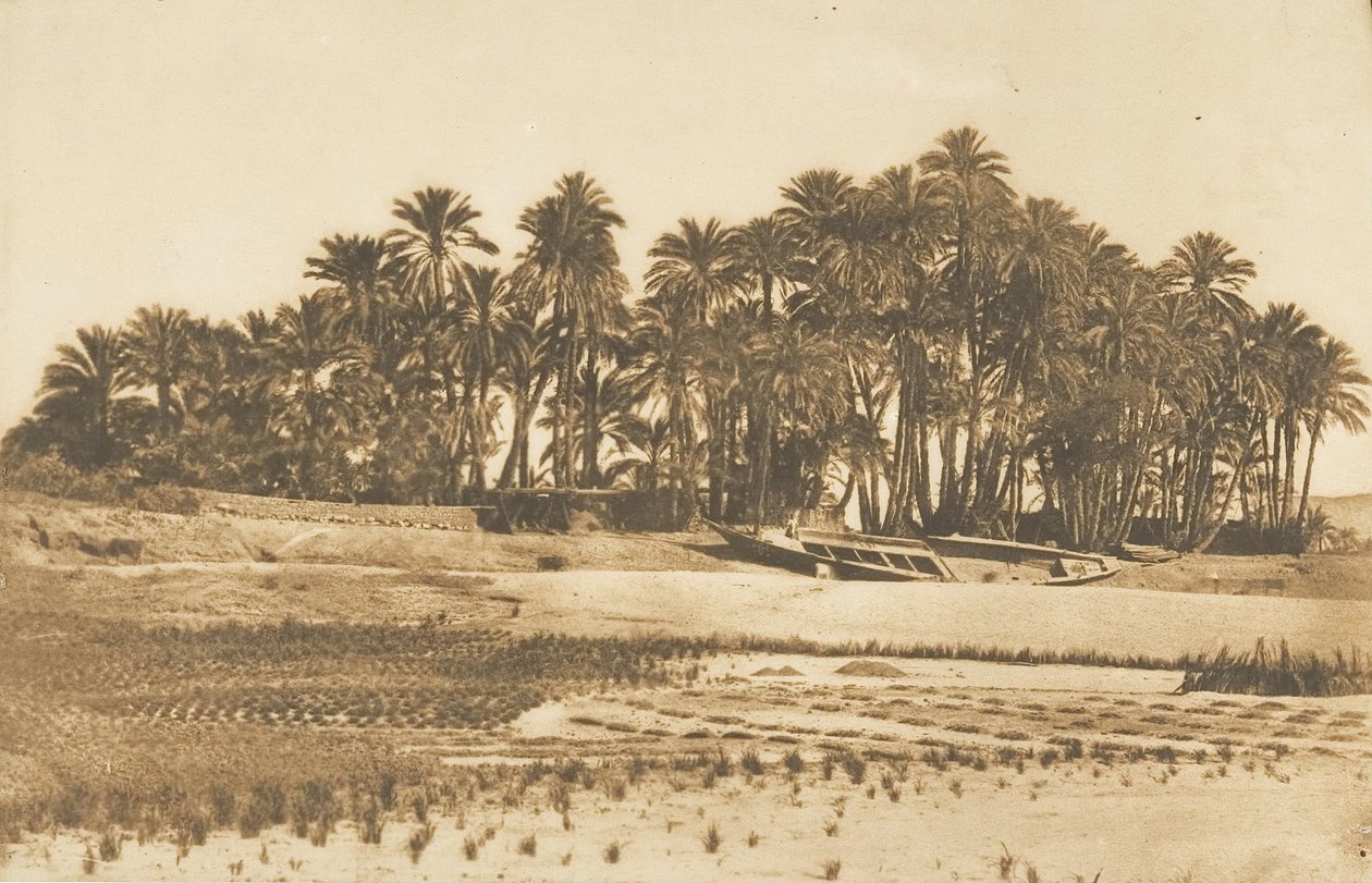 Vista da Ilha Elefantina, em frente a Aswan, 1849-50. de Maxime Du Camp