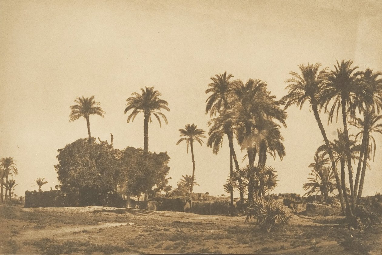 Vista da vila de Hamarneh, perto da margem direita de Dendera, 1849-50. de Maxime Du Camp