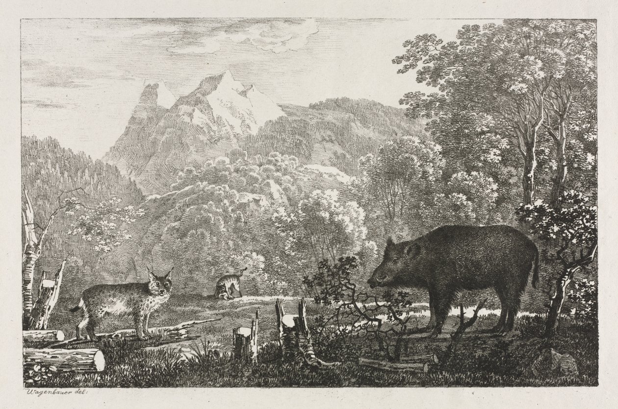 Javali, gato selvagem e lince de Maximilian Josef Wagenbauer
