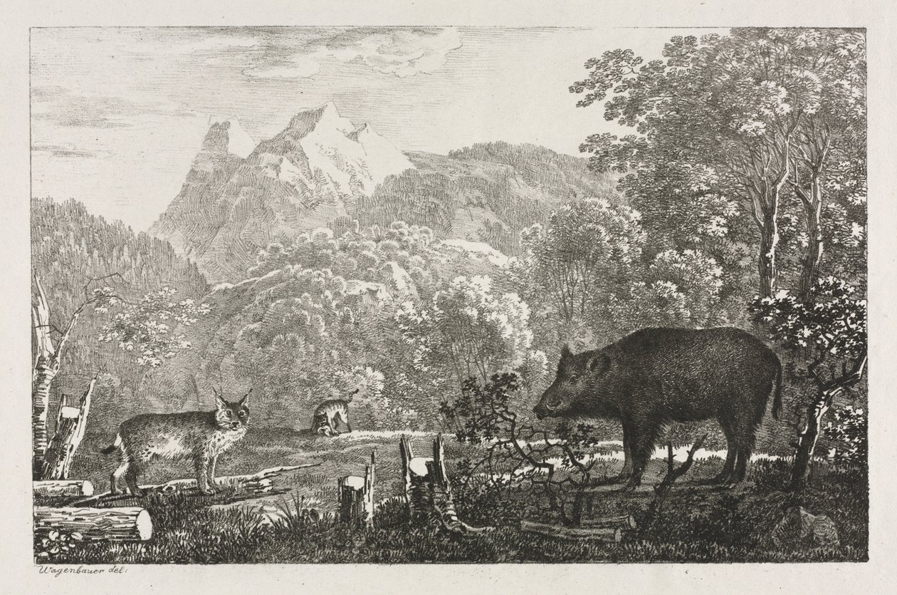 Javali, Wildcat e lince, 1807. de Maximilian Josef Wagenbauer