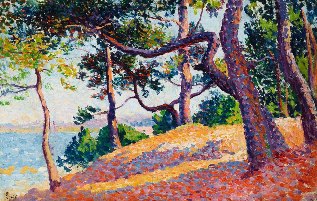 Paisagem em Saint-Tropez, 1892 de Maximilien Luce