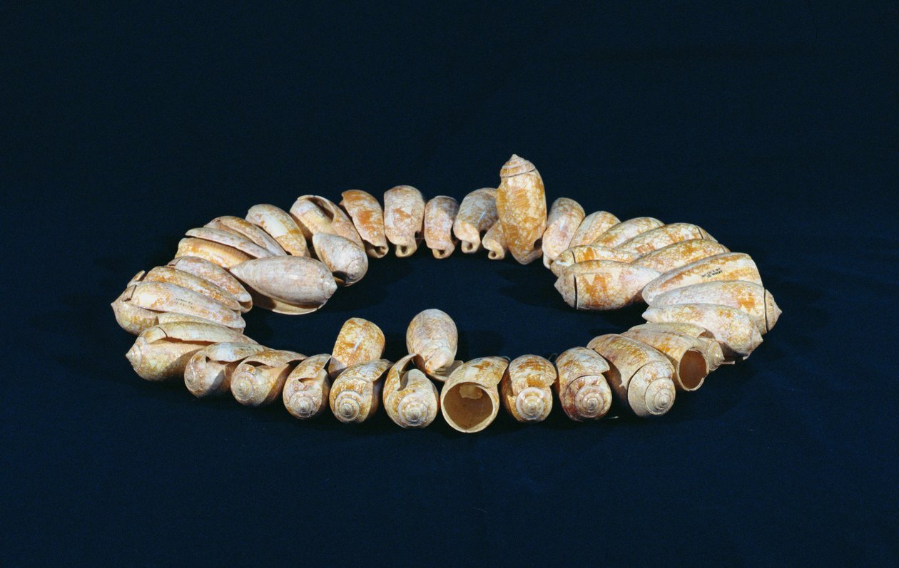 Colar, de Topoxte, Peten, Guatemala, Late Classic Period (shell) de Mayan