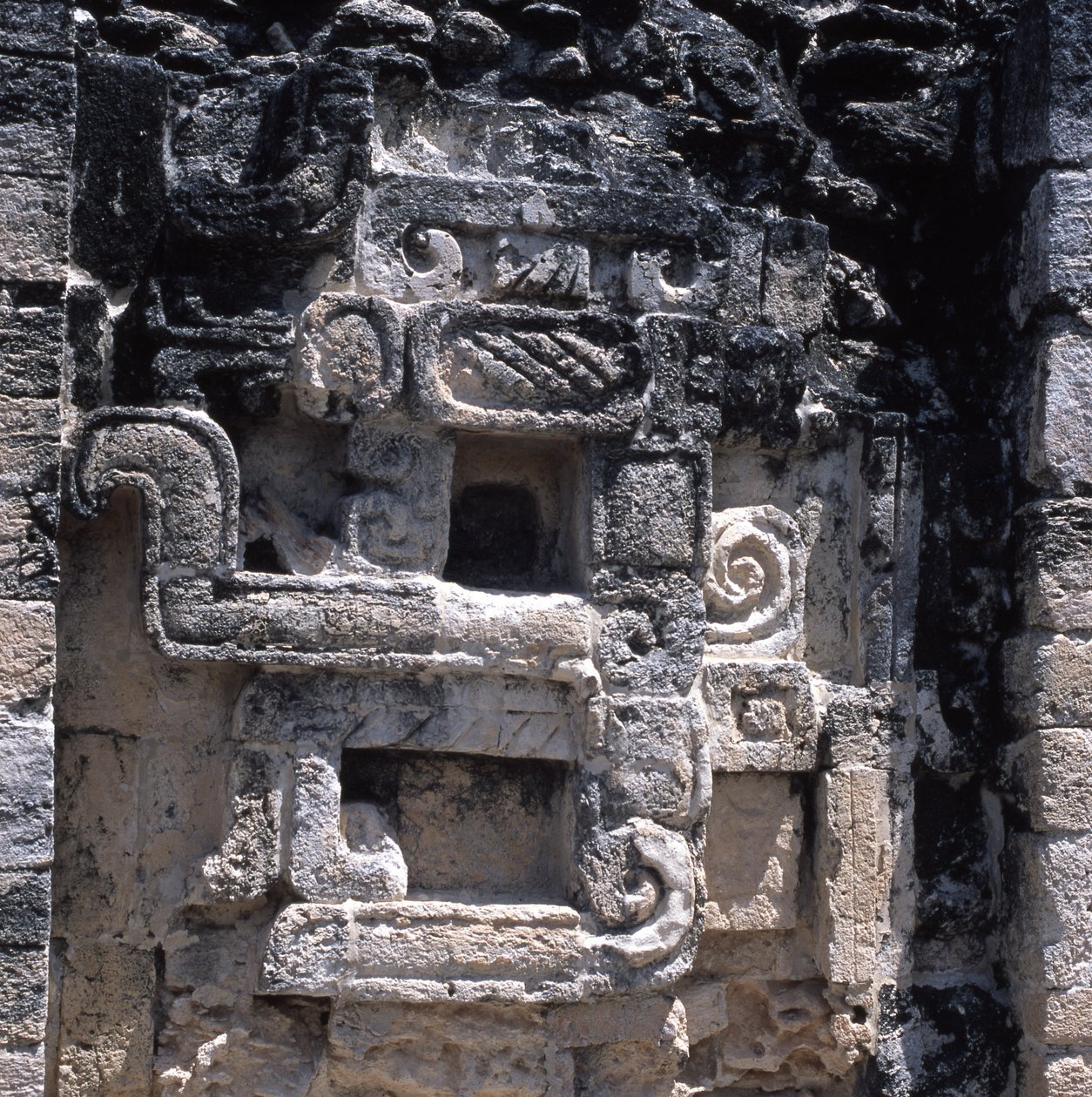 Alívio de um monstro da terra, período clássico tardio, 600-900 dC de Mayan