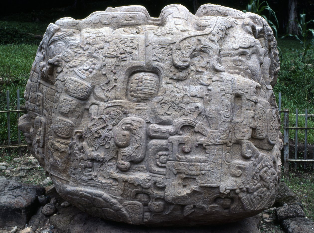 Vista lateral da pedra zoomórfica P, período Clássico Superior (600-900 dC) de Mayan