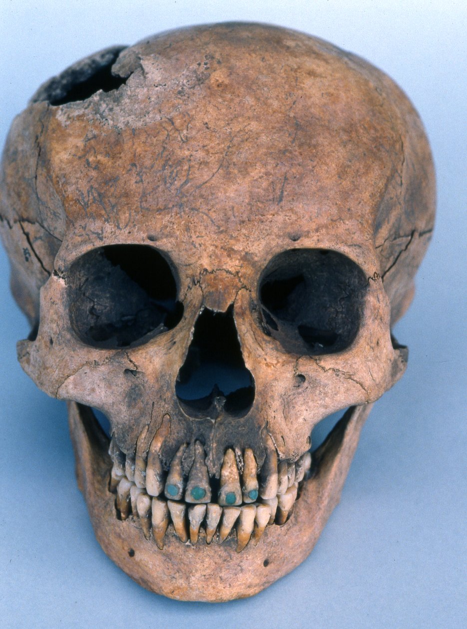 Crânio com dentes incrustados de jade, 1990 (osso) de Mayan