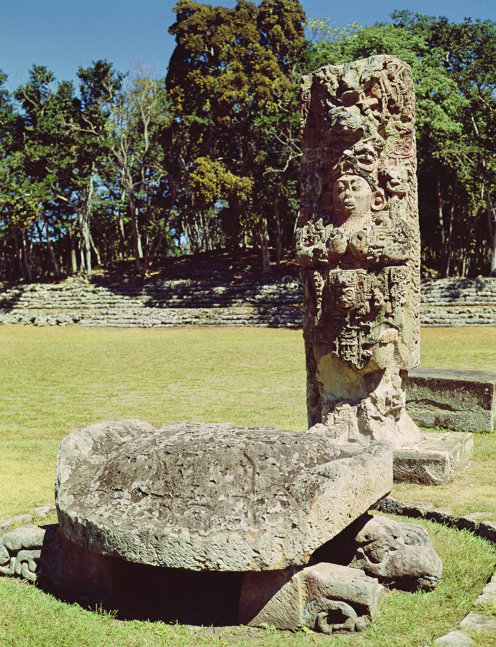 Estela C representando dezoito coelho e uma estátua de uma tartaruga de duas cabeças na frente, AD 711 de Mayan