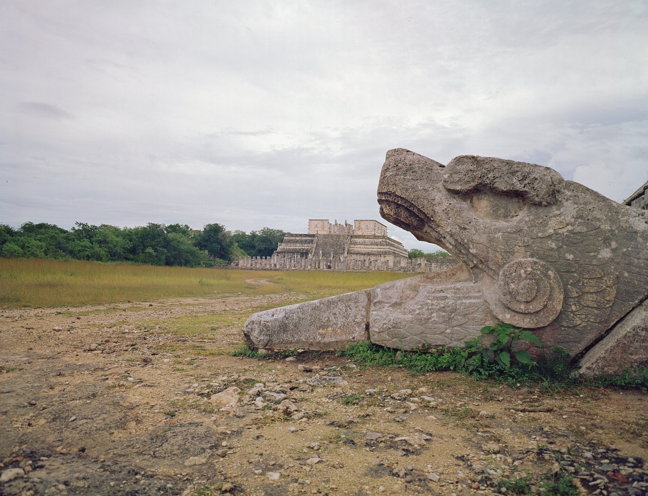 Coluna Temple of the Warriors and Serpent de Mayan