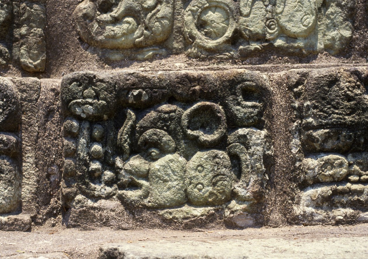 Glifo da cidade de Copan na Escadaria Hieroglífica, Período Clássico Atrasado (600-900) c.760 dC de Mayan