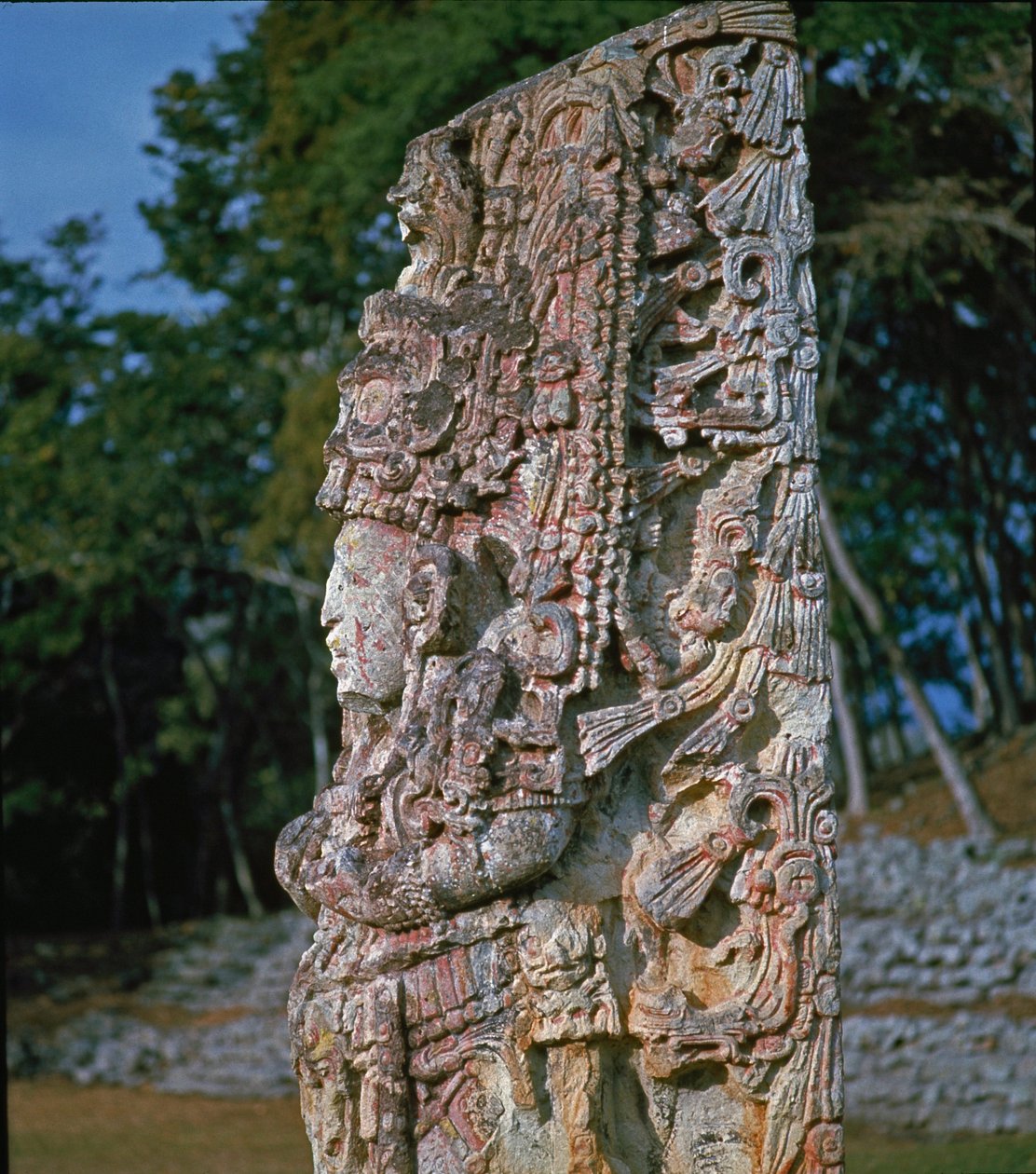 Stele H, Praça Ceremonial, 731 d.C. de Mayan