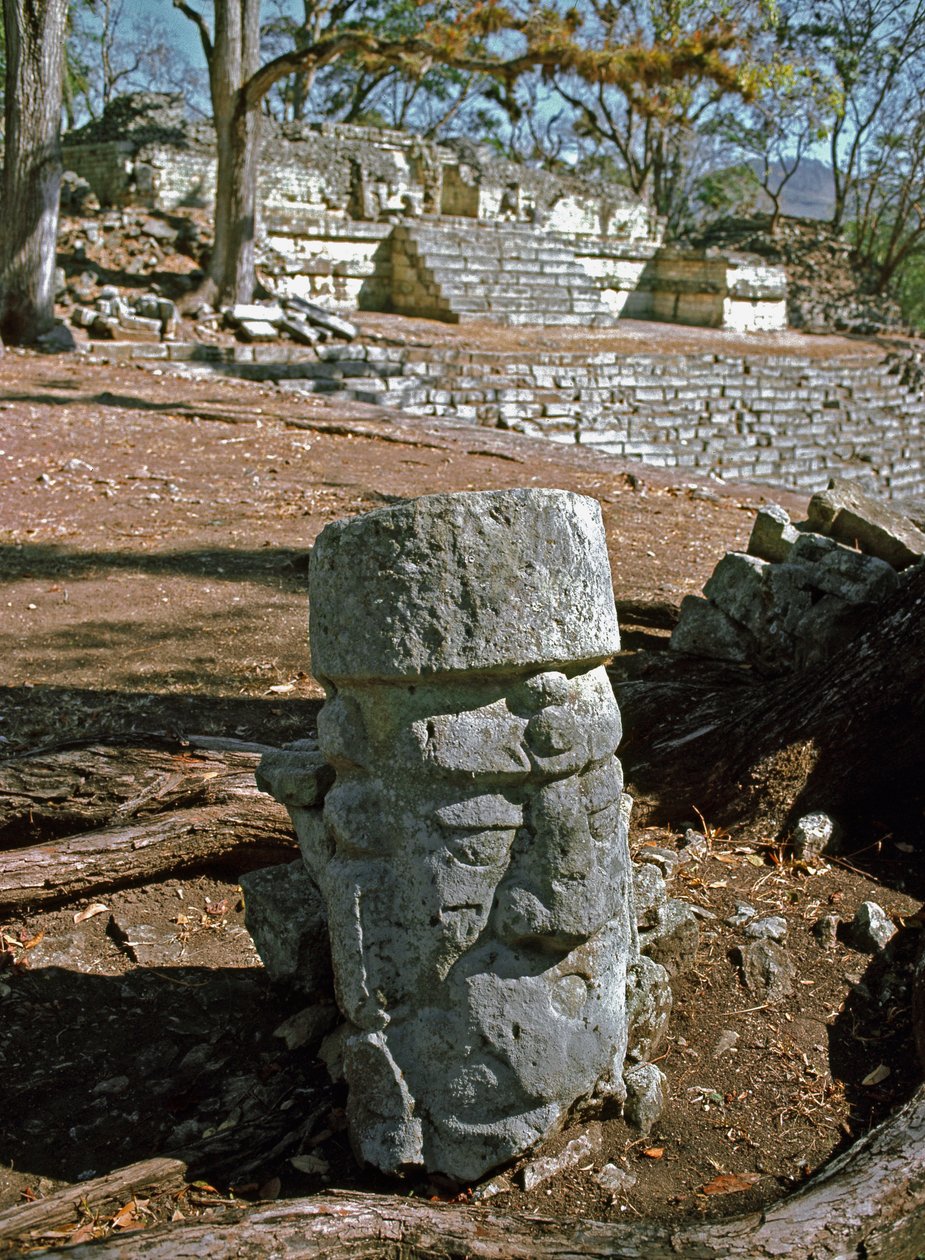 Vista da corte oriental e do templo 22, período clássico do século 7-8 de Mayan
